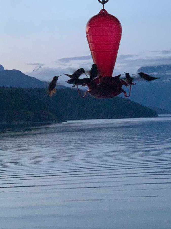 Bed and Breakfast Earls Cove Orca View Egmont Exteriér fotografie